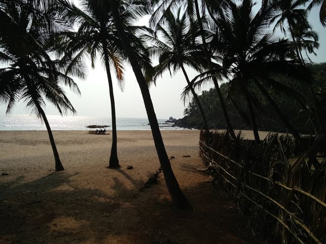 Coastal Drives and Hidden Beach Trails of South Goa
