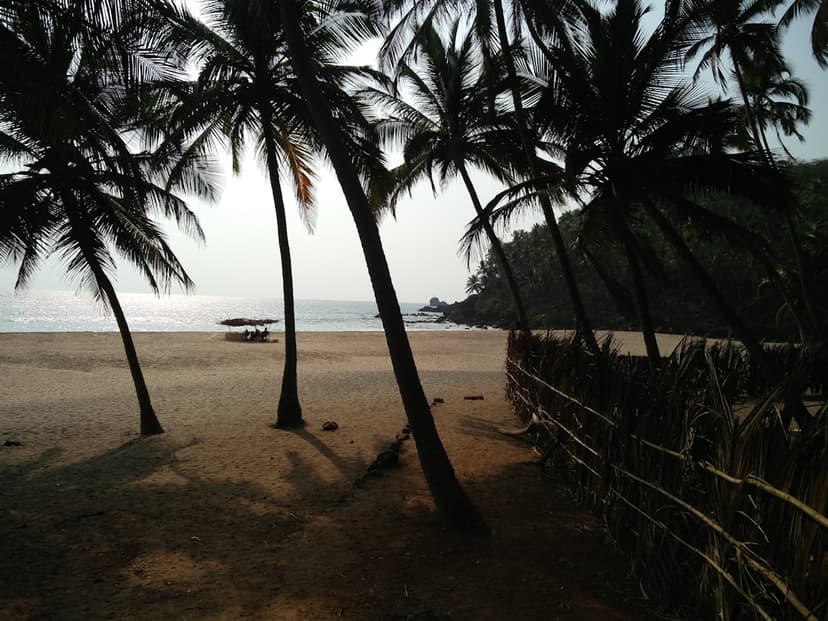 Coastal Drives and Hidden Beach Trails of South Goa