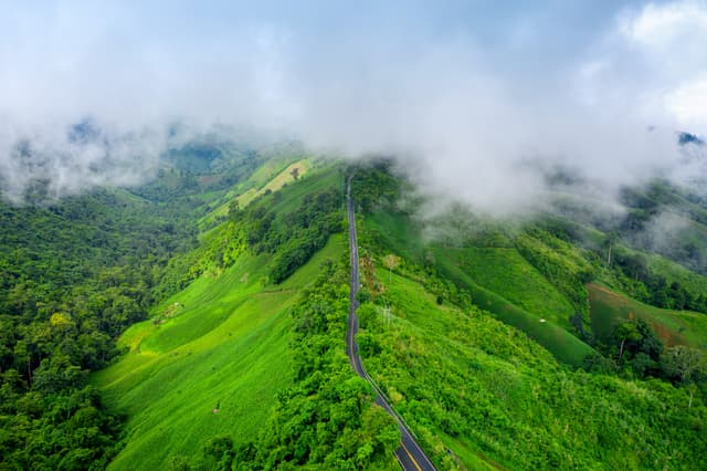 Tea Gardens & Cool Hill Roads of Munnar, Kerala