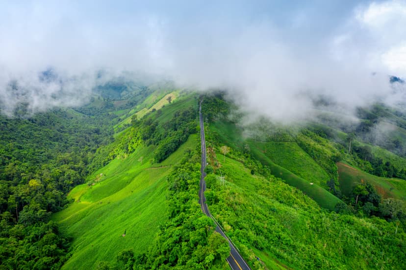 Tea Gardens & Cool Hill Roads of Munnar, Kerala