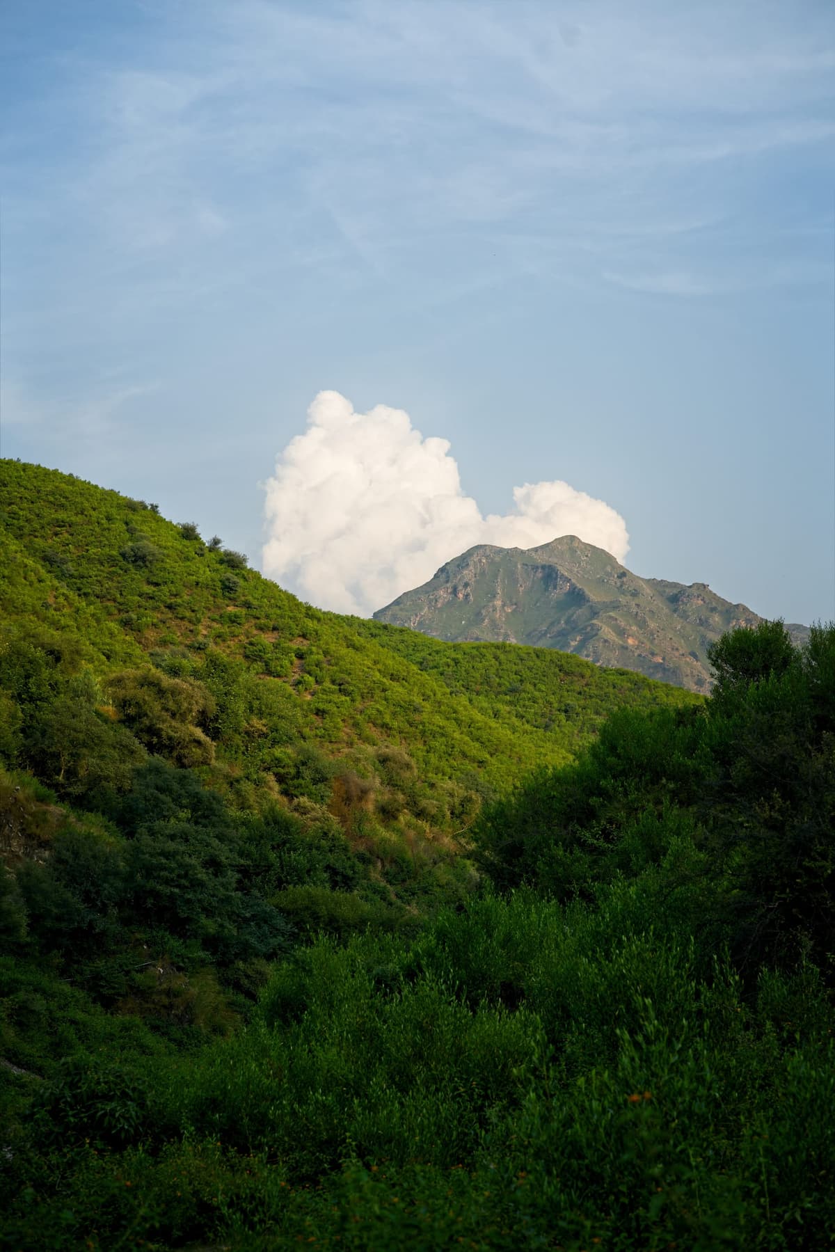 Quaint Little Hill Station in Gujarat